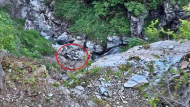 चंबा के साच पास में दर्दनाक हादसा: टैक्सी खाई में गिरी, चालक समेत 8 पर्यटकों की मौत चंबा के साच पास में दर्दनाक हादसा: टैक्सी खाई में गिरी, चालक समेत 8 पर्यटकों की मौत