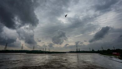 भीषण गर्मी से जल्द मिलेगी राहत! इस दिन दस्तक देगा मॉनसून