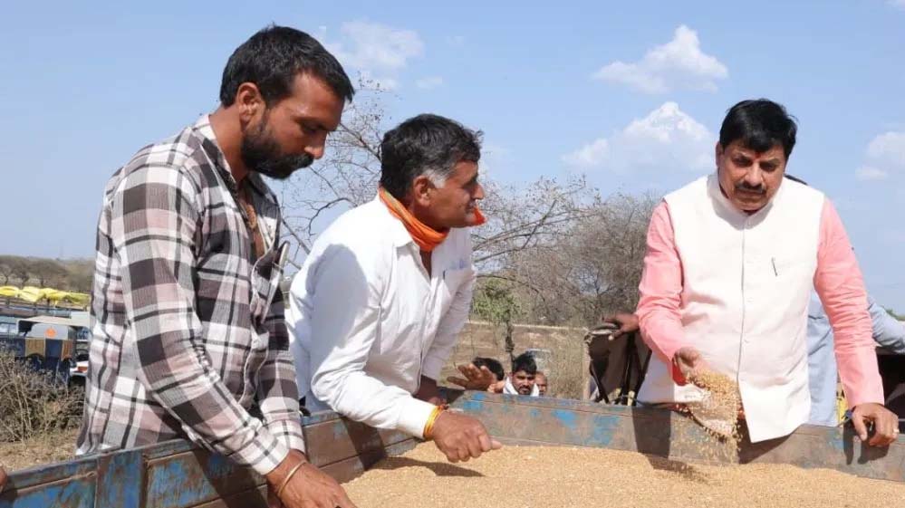 जिन किसानों के स्लॉट बुक हैं, उनसे 28 मई तक गेहूं खरीदेगी सरकार : मुख्यमंत्री डॉ. यादव जिन किसानों के स्लॉट बुक हैं, उनसे 28 मई तक गेहूं खरीदेगी सरकार : मुख्यमंत्री डॉ. यादव