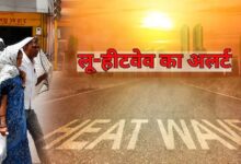 MP में भीषण गर्मी का कहर, जानवरों के लिए लगाए कूलर-ग्रीन नेट; 6 जिलों में हीटवेव अलर्ट