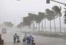 यूपी में 100 KM की रफ्तार से तूफान का अलर्ट, 31 मई तक आंधी-बारिश