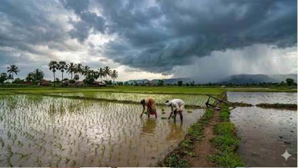 मानसून 2026 की जल्द दस्तक! कल केरल पहुंच सकता है दक्षिण-पश्चिम मानसून, मौसम अनुकूल मानसून 2026 की जल्द दस्तक! कल केरल पहुंच सकता है दक्षिण-पश्चिम मानसून, मौसम अनुकूल