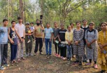 बारनवापारा के देवपुर जंगल में दिखी दुर्लभ विशाल भारतीय गिलहरी