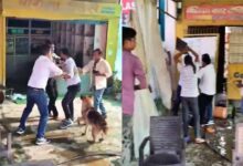 लखनऊ में बिजली चोरी पकड़ने पहुंचे JE पर हमला, बेलचे से पीटा फिर छोड़ा पालतू कुत्ता