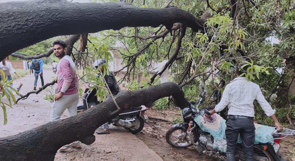 MP Weather Update: ग्वालियर-मुरैना में बारिश, 6 जिलों में लू और आंधी-ओलों का अलर्ट MP Weather Update: ग्वालियर-मुरैना में बारिश, 6 जिलों में लू और आंधी-ओलों का अलर्ट