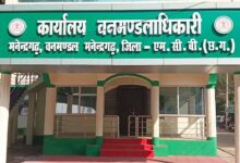 मनेन्द्रगढ़ वनमण्डल में तबादला आदेश पर उठे सवाल