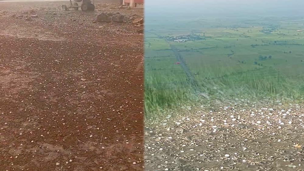 नौतपा में बदला मौसम का मिजाज! MP में आंधी-तूफान और ओलावृष्टि का अलर्ट, कई जिलों में बारिश