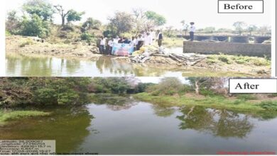 जल गंगा संवर्धन अभियान: जनसहभागिता से बदली गोचा नदी स्टॉप डैम की तस्वीर