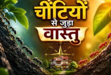घर में चींटियों का दिखना शुभ या अशुभ? वास्तु शास्त्र में जानिए इसके संकेत