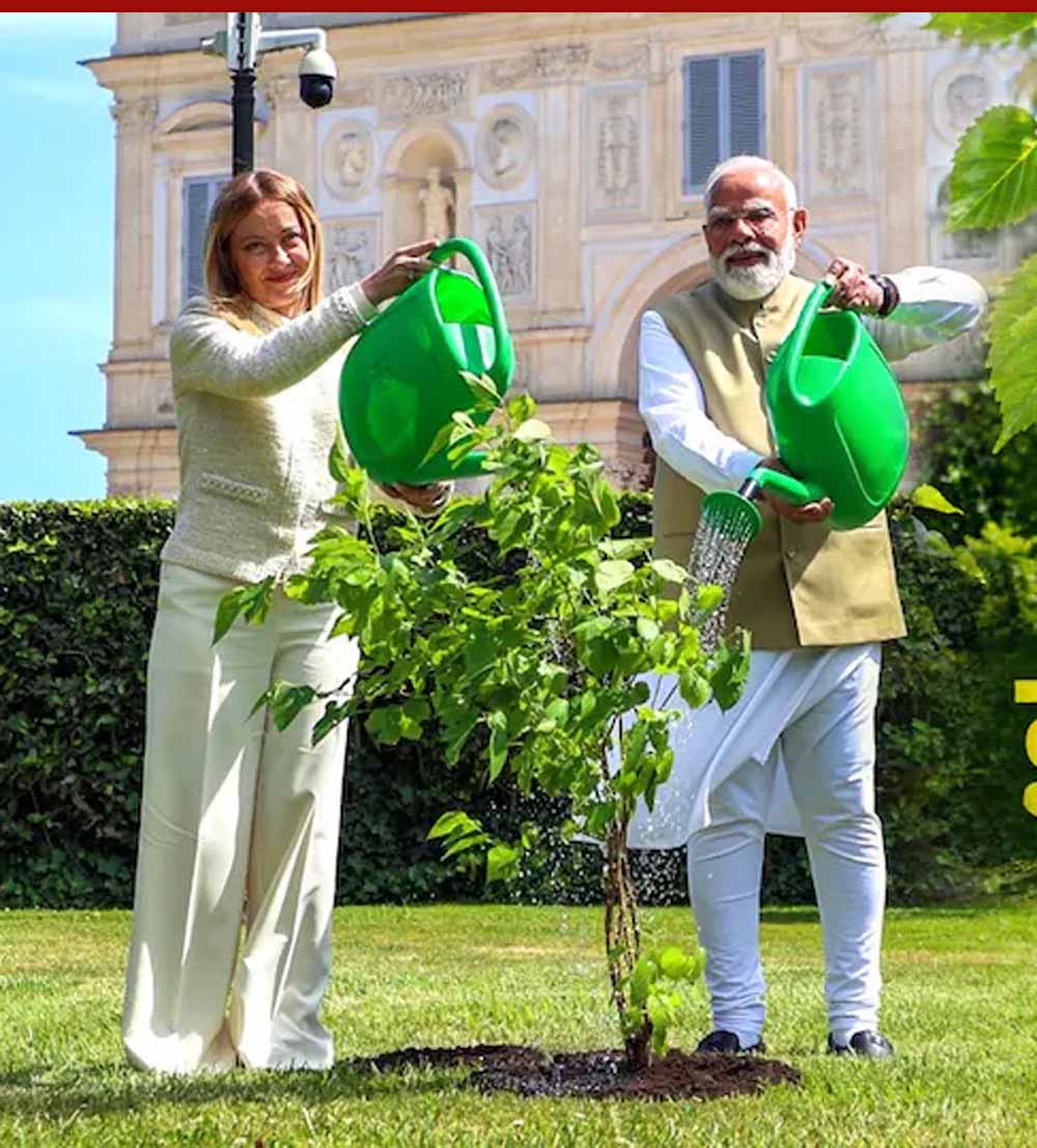 शहतूत का पौधा और वास्तु शास्त्र: घर में लगाने से मिलते हैं ये बड़े फायदे