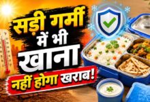 गर्मी में टिफिन पैकिंग गाइड: खाने को जल्दी खराब होने से बचाने के आसान तरीके