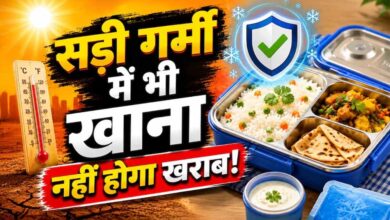 गर्मी में टिफिन पैकिंग गाइड: खाने को जल्दी खराब होने से बचाने के आसान तरीके