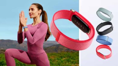 बिना स्क्रीन वाला नया फिटनेस बैंड: Fitbit Air बना चर्चा का केंद्र