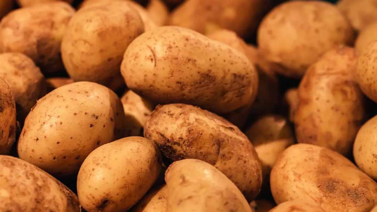 गर्मियों में आलू को लंबे समय तक फ्रेश रखने का आसान देसी तरीका