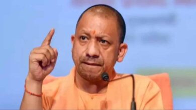 यूपी की ‘गो-इकोनॉमी’ बनी वैश्विक मॉडल: देशी गायों से 10 करोड़ का कारोबार और विदेशों में बढ़ी मांग