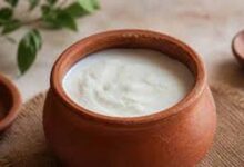 गर्मियों में दही को खट्टा होने से बचाने के आसान और असरदार टिप्स