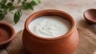 गर्मियों में दही को खट्टा होने से बचाने के आसान और असरदार टिप्स