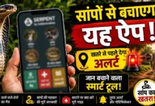 सांपों से बचाव में मदद करेगा ‘Big 4 Mapper’ ऐप: खतरे वाले इलाकों की मिलेगी जानकारी