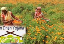 नारी शक्ति वंदन: वन धन केन्द्रों से आत्मनिर्भर बन रहीं जनजातीय वर्ग की महिलाएं