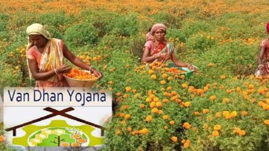 नारी शक्ति वंदन: वन धन केन्द्रों से आत्मनिर्भर बन रहीं जनजातीय वर्ग की महिलाएं