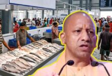 यूपी में मत्स्य कारोबार को मिलेगा बड़ा बूस्ट, गोरखपुर-मुरादाबाद में बनेंगी आधुनिक फिश मंडियां