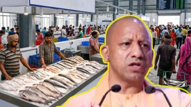 यूपी में मत्स्य कारोबार को मिलेगा बड़ा बूस्ट, गोरखपुर-मुरादाबाद में बनेंगी आधुनिक फिश मंडियां