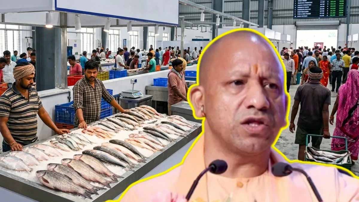 यूपी में मत्स्य कारोबार को मिलेगा बड़ा बूस्ट, गोरखपुर-मुरादाबाद में बनेंगी आधुनिक फिश मंडियां यूपी में मत्स्य कारोबार को मिलेगा बड़ा बूस्ट, गोरखपुर-मुरादाबाद में बनेंगी आधुनिक फिश मंडियां