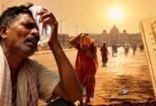 तेलंगाना में भीषण गर्मी का कहर, हीटस्ट्रोक से 51 लोगों की मौत