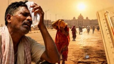तेलंगाना में भीषण गर्मी का कहर, हीटस्ट्रोक से 51 लोगों की मौत