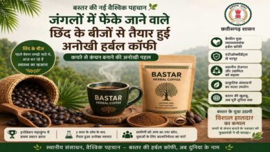 रायपुर : बस्तर की नई वैश्विक पहचान: जंगलों में फेंके जाने वाले छिंद के बीजों से तैयार हुई अनोखी हर्बल कॉफी
