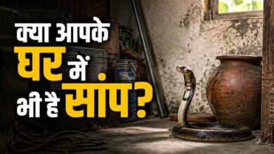 घर में सांप दिखना शुभ या अशुभ? जानें वास्तु शास्त्र क्या कहता है