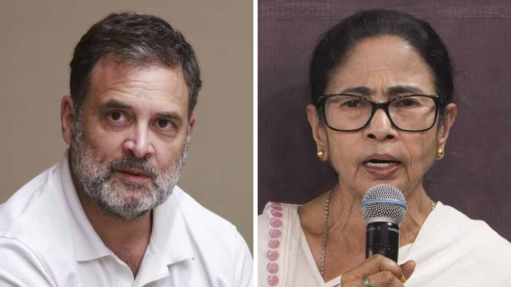 बंगाल चुनाव में कांग्रेस का फिर सूपड़ा साफ? राहुल गांधी की रणनीति और सीमित प्रचार पर उठे सवाल