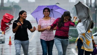 प्रदेश में दो सिस्टम एक्टिव, 13 जिलों में आंधी-बारिश का अलर्ट; जबलपुर और रीवा संभाग प्रभावित