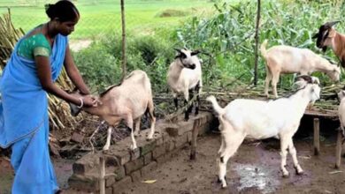 धमतरी का भटगांव बनेगा इनोवेशन हब