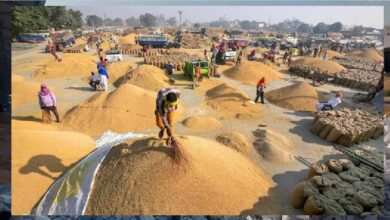 मंडियों में धान की रिकॉर्डतोड़ आवक, पिछले साल के आंकड़े हुए ध्वस्त मंडियों में धान की रिकॉर्डतोड़ आवक, पिछले साल के आंकड़े हुए ध्वस्त