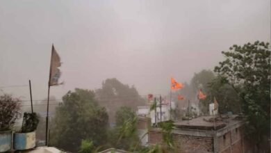 तेज आंधी-बारिश से रायपुर बेहाल, पेड़ गिरे, फिर बिगड़ सकता है मौसम तेज आंधी-बारिश से रायपुर बेहाल, पेड़ गिरे, फिर बिगड़ सकता है मौसम