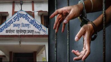 रायपुर में SDM कोर्ट सख्त, गबन और आदेश की अनदेखी पर 11 पूर्व सरपंच जाएंगे जेल रायपुर में SDM कोर्ट सख्त, गबन और आदेश की अनदेखी पर 11 पूर्व सरपंच जाएंगे जेल