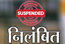 सीमांकन में बड़ी लापरवाही: कलेक्टर का सख्त एक्शन, राजस्व निरीक्षक निलंबित