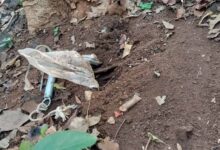 दंतेवाड़ा में बड़ा खतरा टला! प्रेशर कुकर IED बरामद, CRPF की BDS टीम ने किया डिफ्यूज