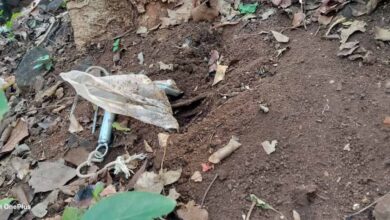 दंतेवाड़ा में बड़ा खतरा टला! प्रेशर कुकर IED बरामद, CRPF की BDS टीम ने किया डिफ्यूज