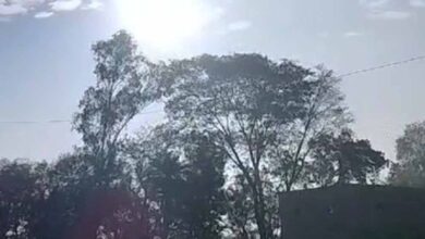 छत्तीसगढ़ में मौसम का अलर्ट: गरज-चमक के साथ बारिश, 50 KM/H की रफ्तार से चलेंगी हवाएं