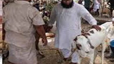 बकरीद की छुट्टी की तारीख बदली, अब 28 मई को रहेगा सार्वजनिक अवकाश