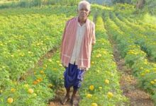 धान छोड़ फूलों की खेती ने बदली आनंदराम की तकदीर