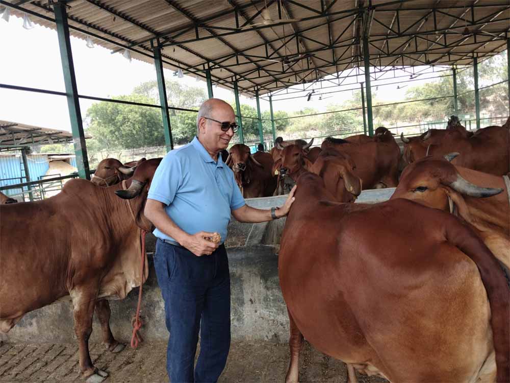 राष्ट्रशक्ति और आर्थिक समृद्धि का नया मॉडल बन रहा गो संरक्षण राष्ट्रशक्ति और आर्थिक समृद्धि का नया मॉडल बन रहा गो संरक्षण