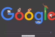 Google में बड़ा बदलाव: अब वेबसाइट खुलेगी सिर्फ QR कोड स्कैन करने पर