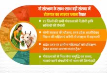 गो संरक्षण के साथ-साथ बड़ी संख्या में रोजगार का मास्टर प्लान तैयार