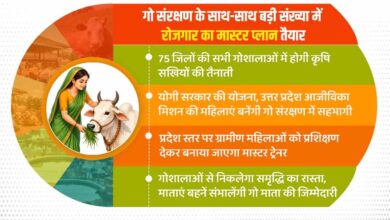 गो संरक्षण के साथ-साथ बड़ी संख्या में रोजगार का मास्टर प्लान तैयार गो संरक्षण के साथ-साथ बड़ी संख्या में रोजगार का मास्टर प्लान तैयार