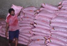खरीफ में धान सहित दलहन-तिलहन फसलों में परम्परागत खाद के साथ वैकल्पिक खाद एवं नैनो यूरिया व डीएपी के उपयोग को दिया जा रहा बढ़ावा