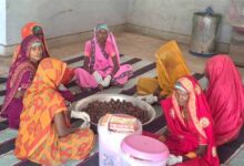 कल्दा वन-धन विकास केंद्र बना जनजातीय महिला उद्यमिता का प्रतीक