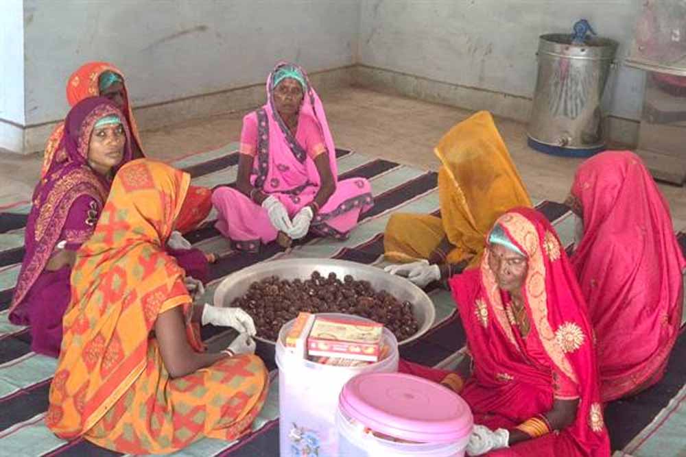 कल्दा वन-धन विकास केंद्र बना जनजातीय महिला उद्यमिता का प्रतीक कल्दा वन-धन विकास केंद्र बना जनजातीय महिला उद्यमिता का प्रतीक
